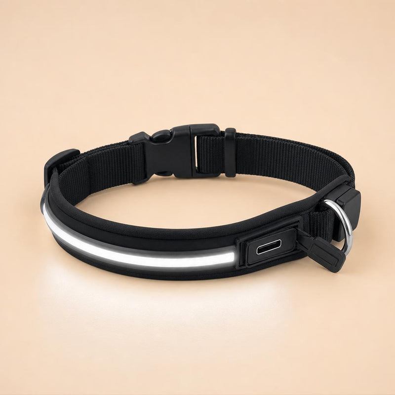 Collar LED Recargable Mascotti Pets
