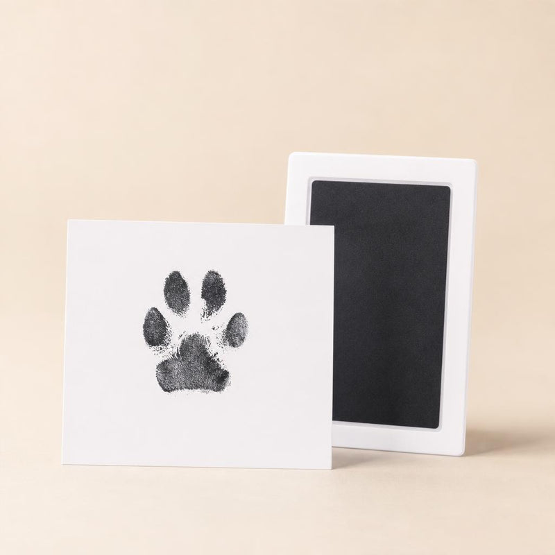 Kit de Huellas Mascotti Pets